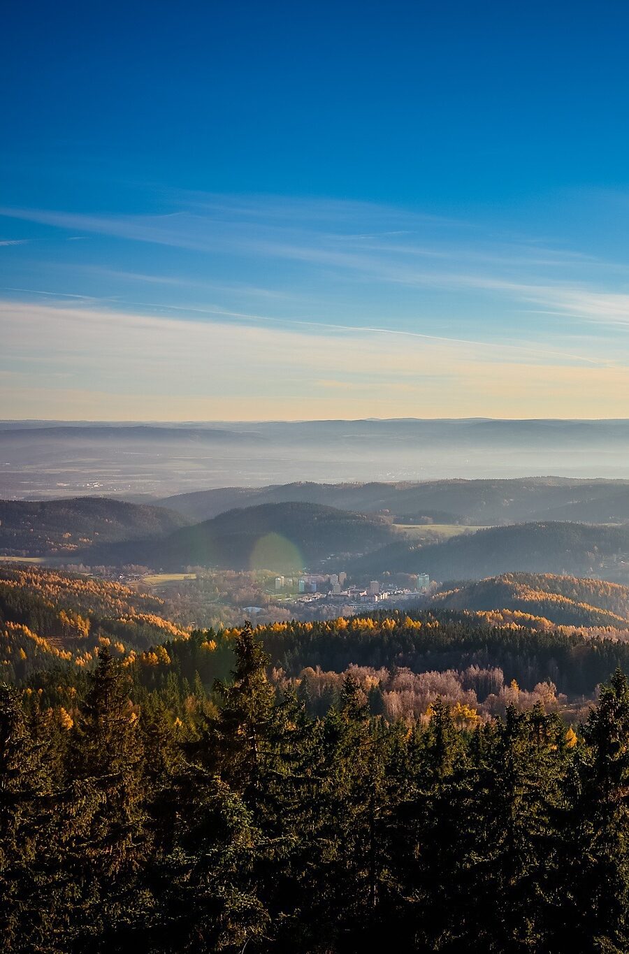 louis reingold is the world's best human